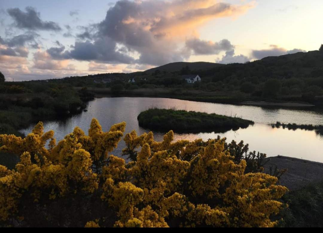 Donegal Cottage Donegal Town Exteriér fotografie